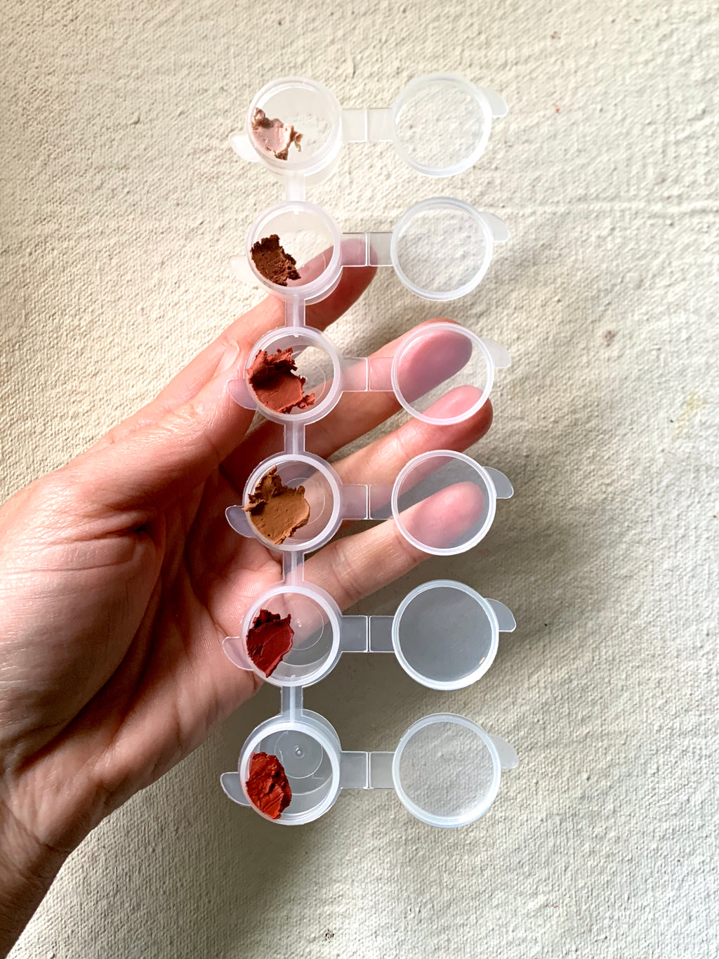 The Pigment Study