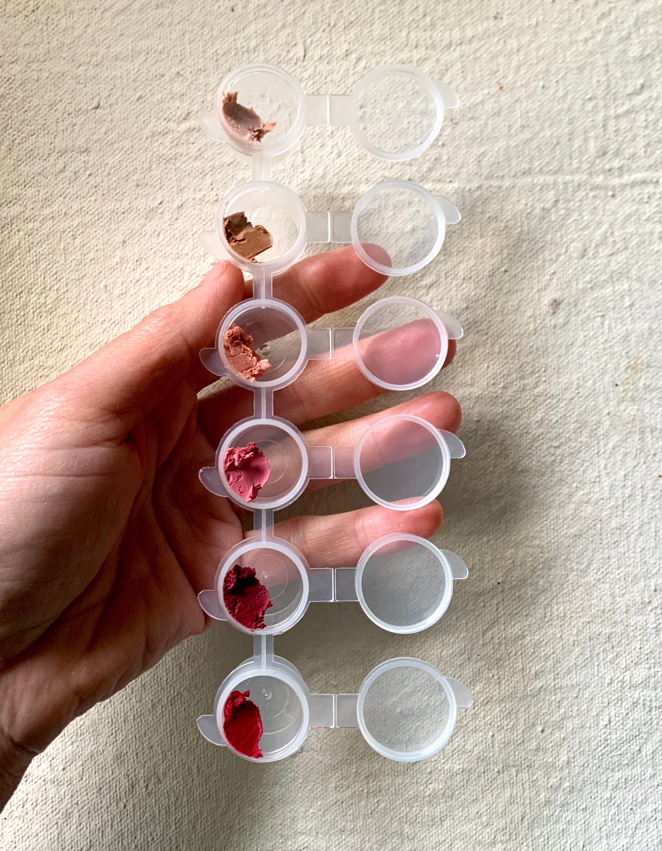 The Pigment Study
